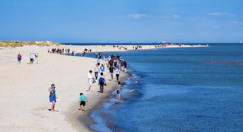 SKAGEN, DENMARK - MAY 20, 2023: A perfect summer day on the beach - a large group of people enjoying the beauty and serenity of nature, with an endless sky meeting vast blue ocean waters.; Shutterstock ID 2306586961; your: Brian Healy; gl: 65050; netsuite: Lonely Planet Online Editorial; full: Denmark vs Finland.2306586961
2306586961
RFE, Shutterstock, beach, blue, coast, crowd, denmark, environment, europe, groups, holiday, horizon, land, leisure, nature, nordjylland, ocean, outdoor, people, recreation, sand, sea, shore, skagen, sky, summer, sun, sunny, tourism, tourist, travel, trip, vacation, water, beauty in nature, body of water, group of people, horizon over water, large group of people, leisure activity, sandy beach, scenics - nature, travel destinations, Beach, Coast, Handbag, Horizon, Nature, Outdoors, Person, Scenery, Sea, Shoreline, Sky, Water
SKAGEN, DENMARK - MAY 20, 2023: A perfect summer day on the beach - a large group of people enjoying the beauty and serenity of nature, with an endless sky meeting vast blue ocean waters.; Shutterstock ID 2306586961; your: Brian Healy; gl: 65050; netsuite: Lonely Planet Online Editorial; full: Denmark vs Finland
2306586961